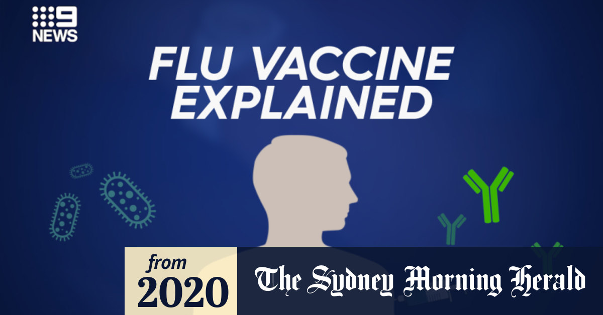 Video What is in the flu shot?
